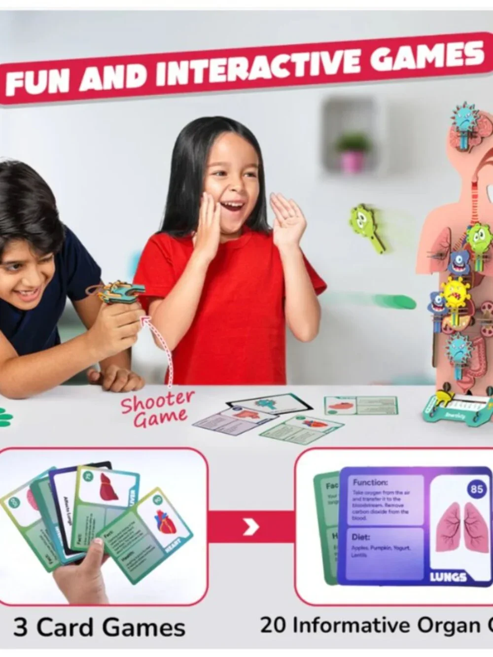 New Smartivity Human Body DIY Stem Kit Set Science Experiment Anatomy Biology 3D